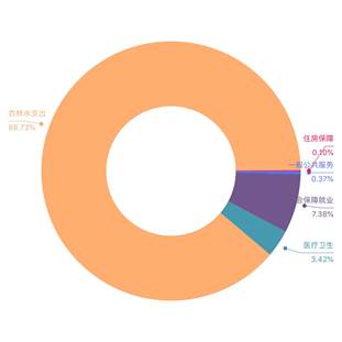 一般公共支出